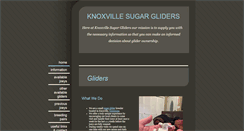 Desktop Screenshot of knoxvillesugargliders.com